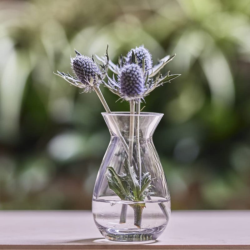 CHIVE â€˜Georgeâ€™ Glass Bottle Flower Vases â€” Set of 6 â€” Small, Elegant Clear Glass Bud Vases â€” Bulk Pack for Home Decor & Table Centerpieces â€” Shape 2 (Oval, 5" Tall, 2.5" Wide) - Image 5